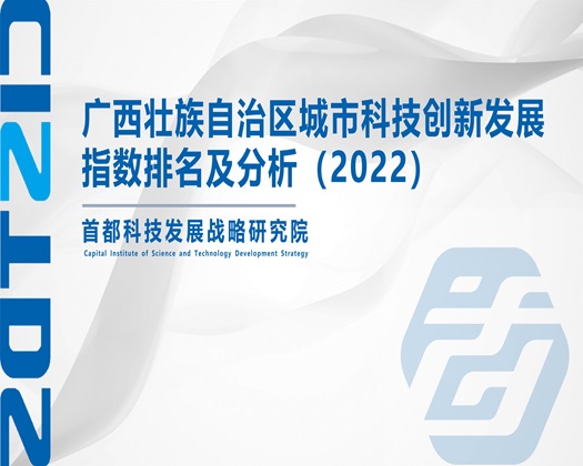 免费看日b视频【成果发布】广西壮族自治区城市科技创新发展指数排名及分析（2022）